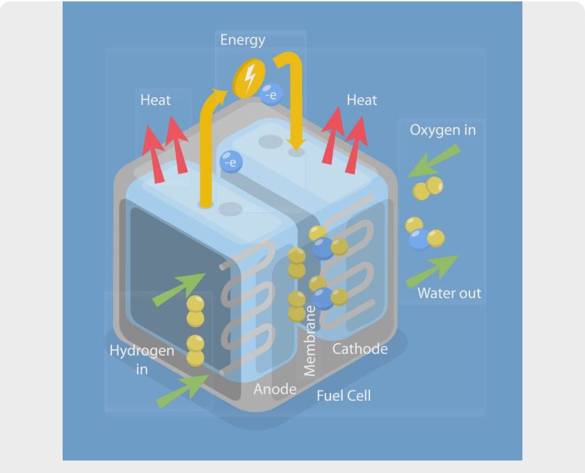 The Designer’s Guide to Carbon-Neutral Portfolios: Why Eco-Hosting is Your New Brand Standard in 2026